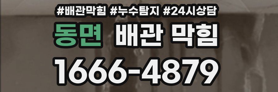 동면 배관 막힘