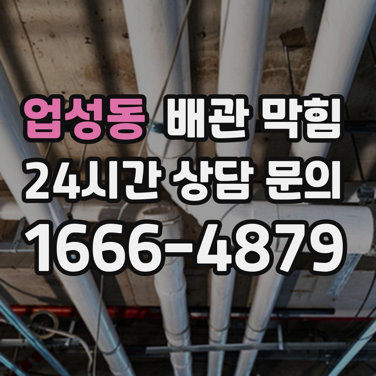 업성동 배관 막힘
