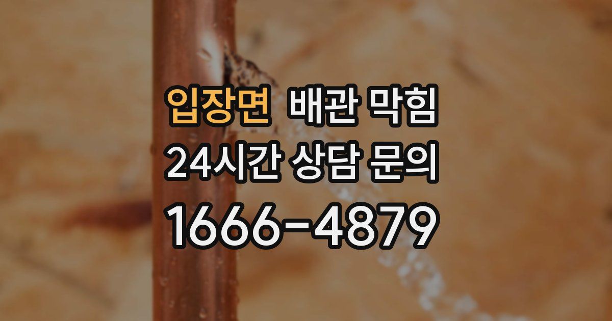 입장면 배관 막힘