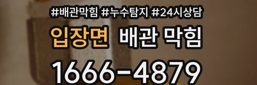 입장면 배관 막힘