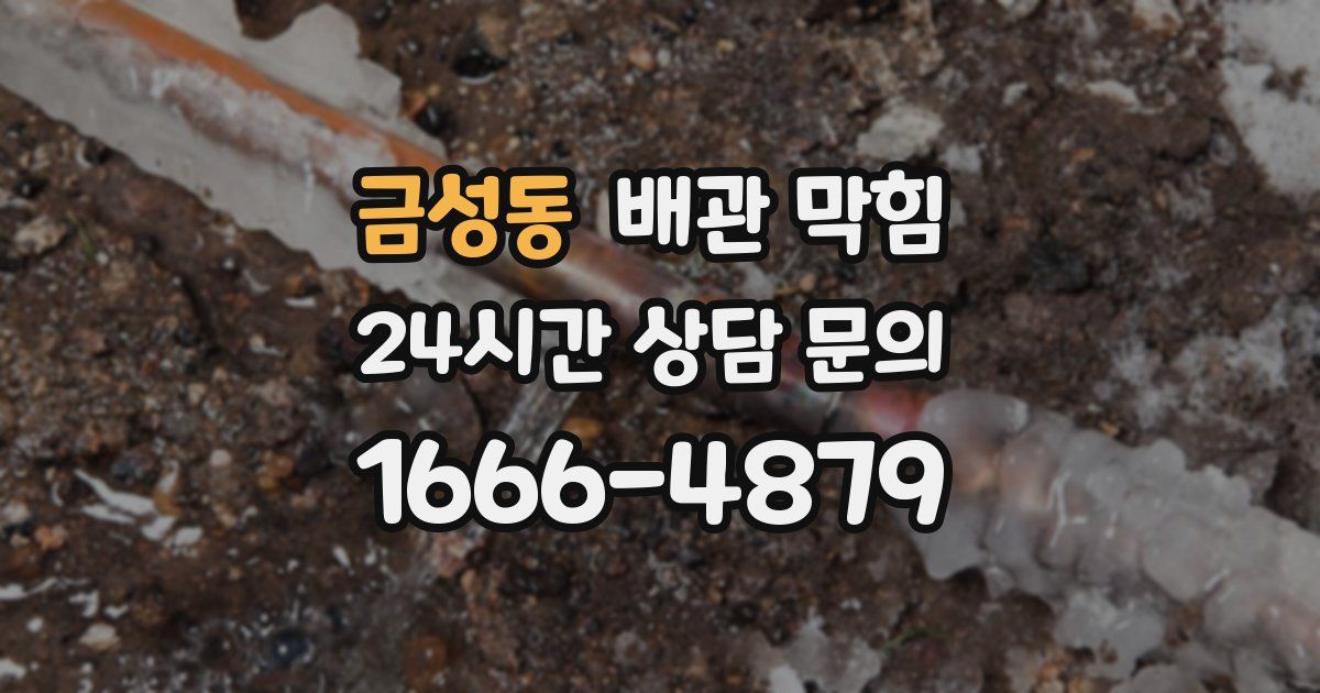 금성동 배관 막힘