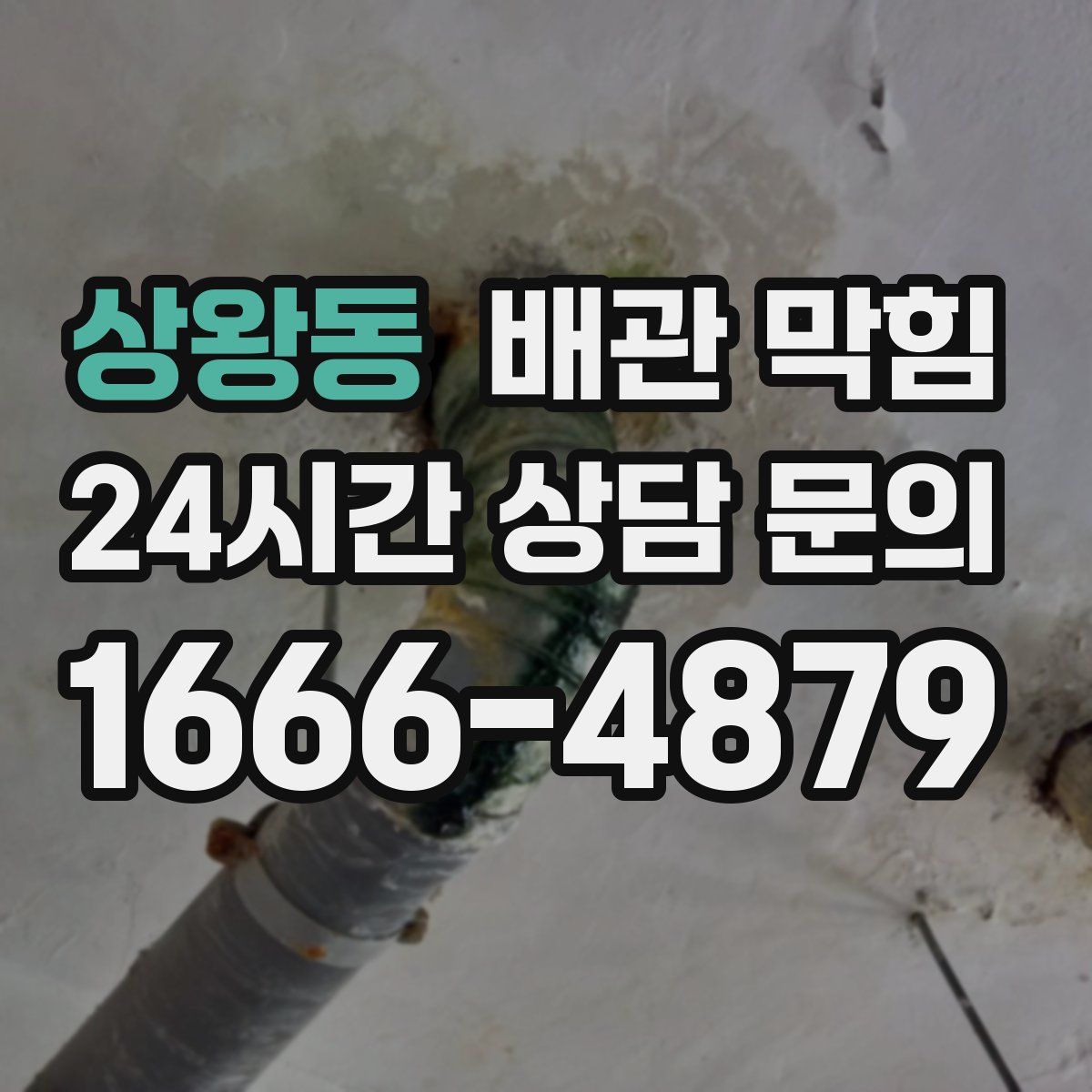 상왕동 배관 막힘