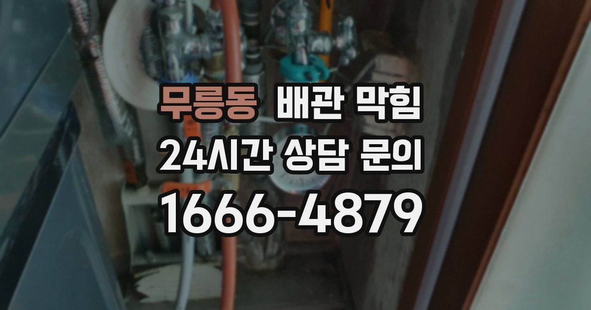 무릉동 배관 막힘