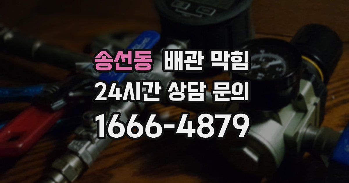 송선동 배관 막힘