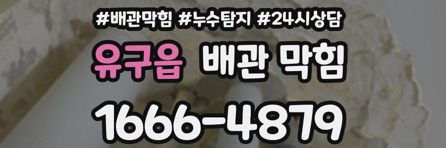 유구읍 배관 막힘