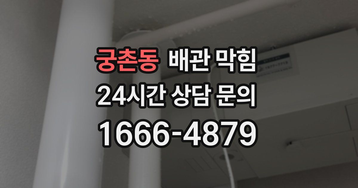 궁촌동 배관 막힘