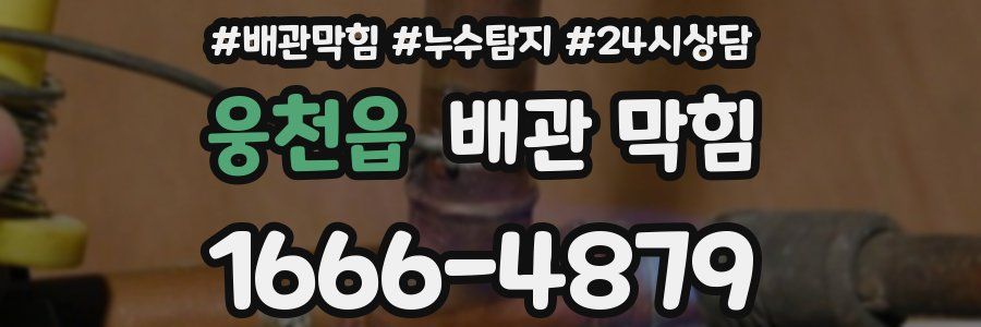 웅천읍 배관 막힘