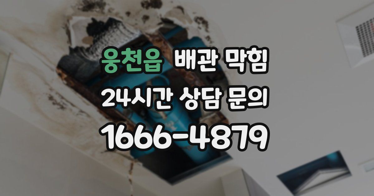 웅천읍 배관 막힘