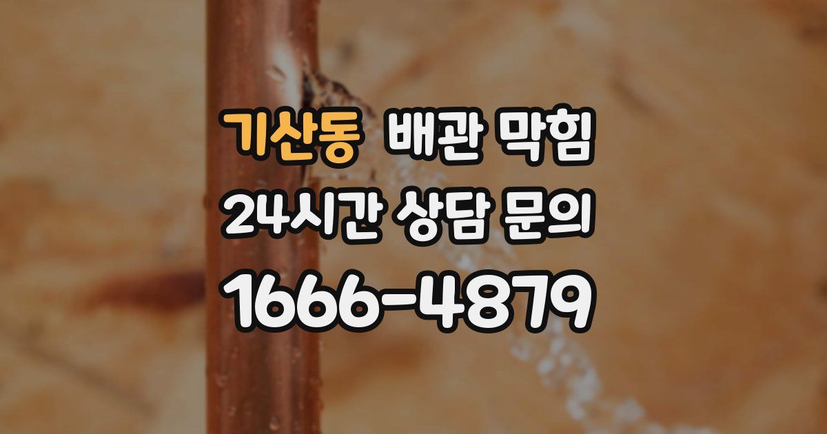 기산동 배관 막힘