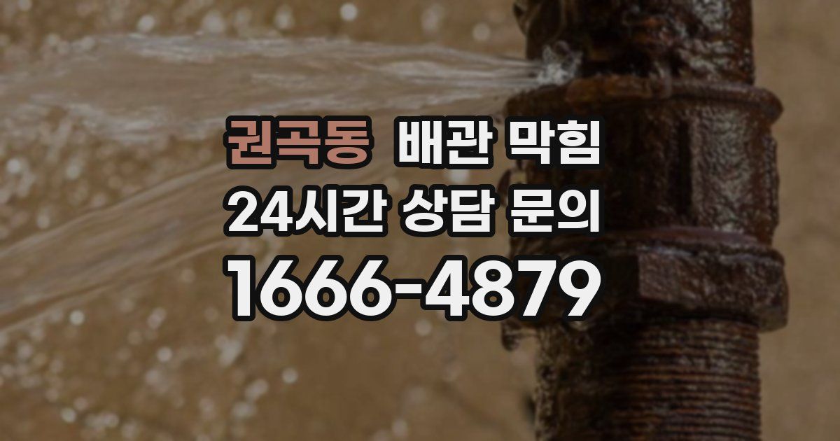 권곡동 배관 막힘