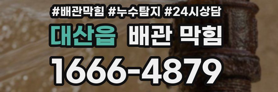 대산읍 배관 막힘