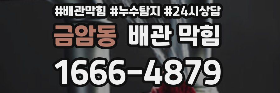 금암동 배관 막힘