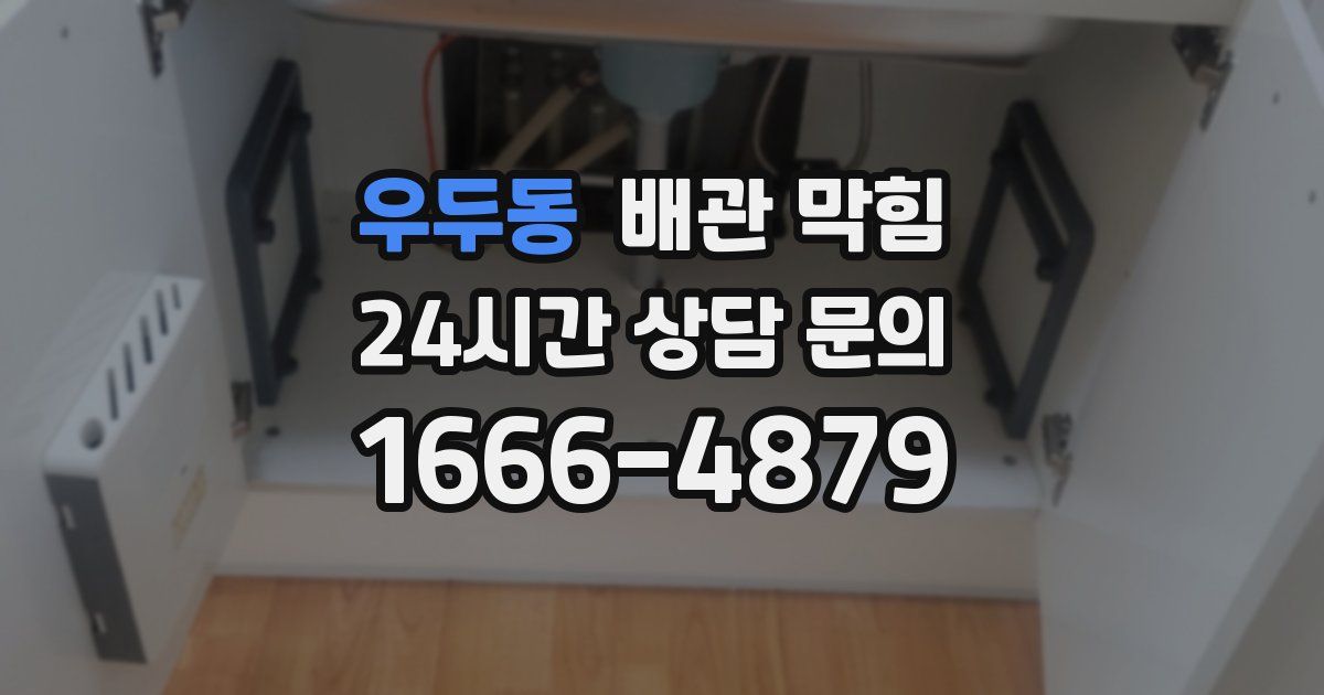 우두동 배관 막힘