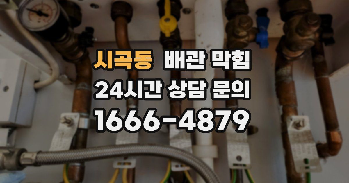 시곡동 배관 막힘