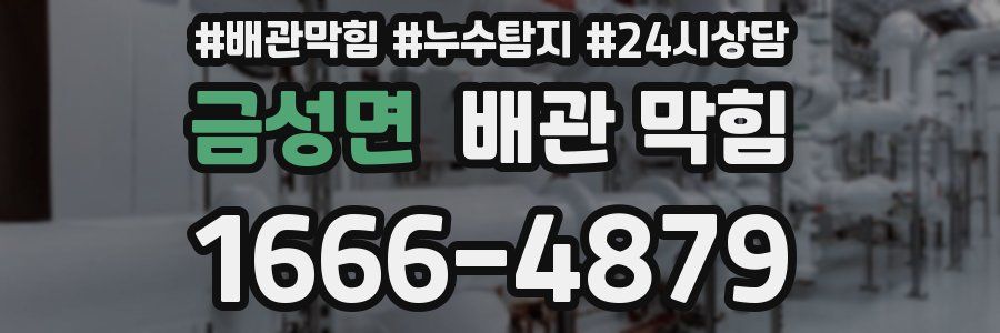 금성면 배관 막힘