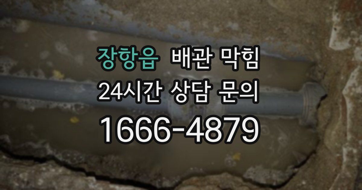 장항읍 배관 막힘