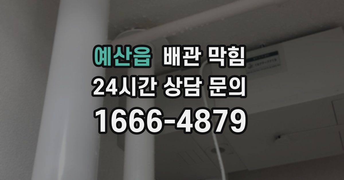 예산읍 배관 막힘
