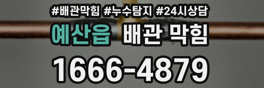 예산읍 배관 막힘