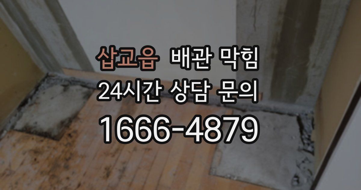 삽교읍 배관 막힘