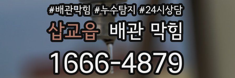 삽교읍 배관 막힘