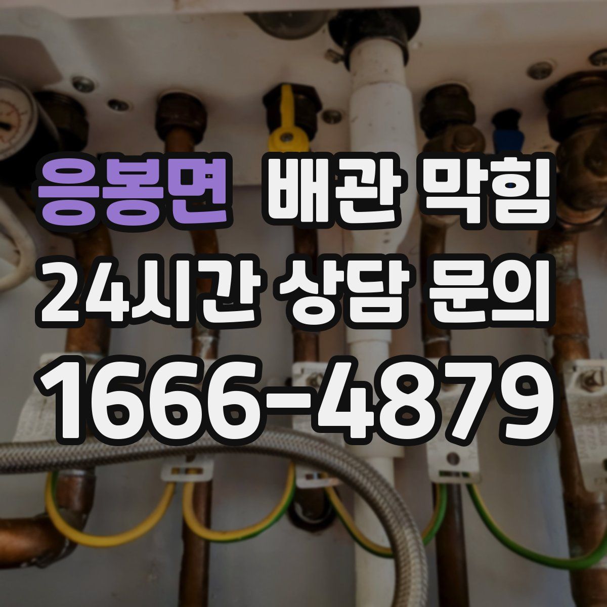 응봉면 배관 막힘