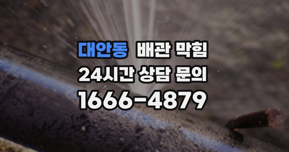 대안동 배관 막힘