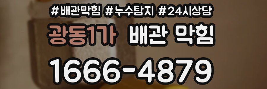 광동1가 배관 막힘