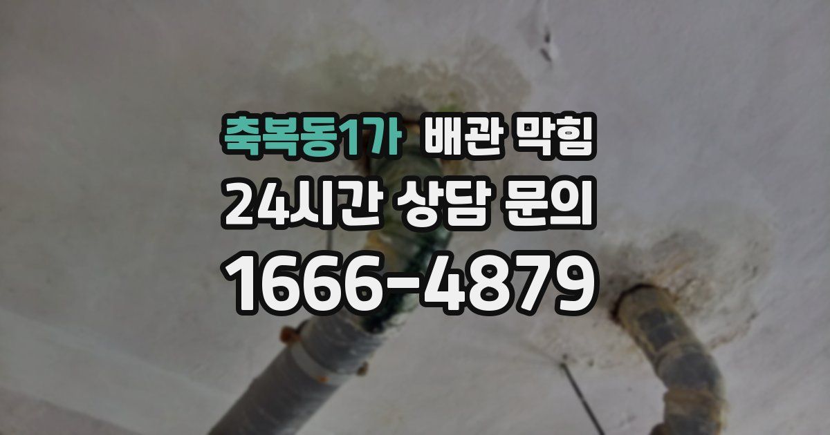 축복동1가 배관 막힘