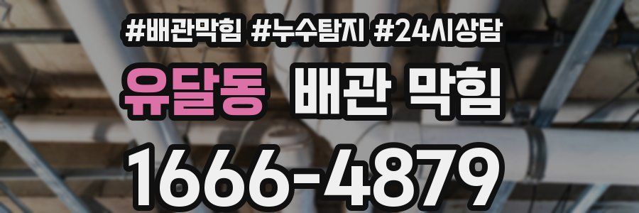 유달동 배관 막힘