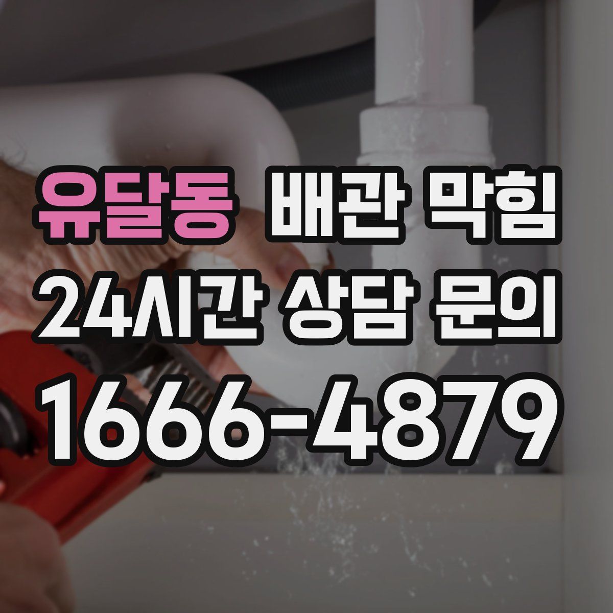 유달동 배관 막힘