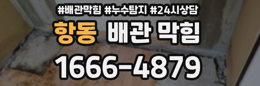 항동 배관 막힘