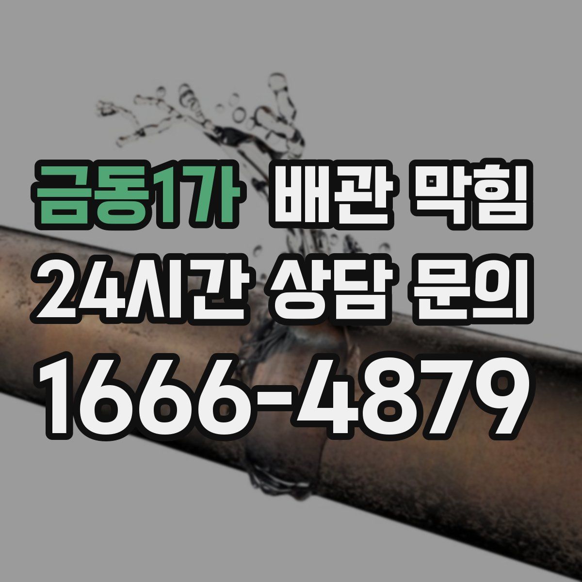 금동1가 배관 막힘
