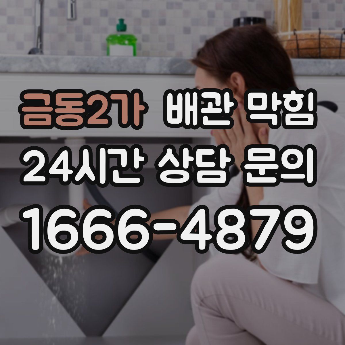 금동2가 배관 막힘