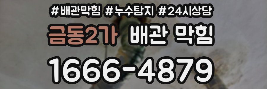 금동2가 배관 막힘