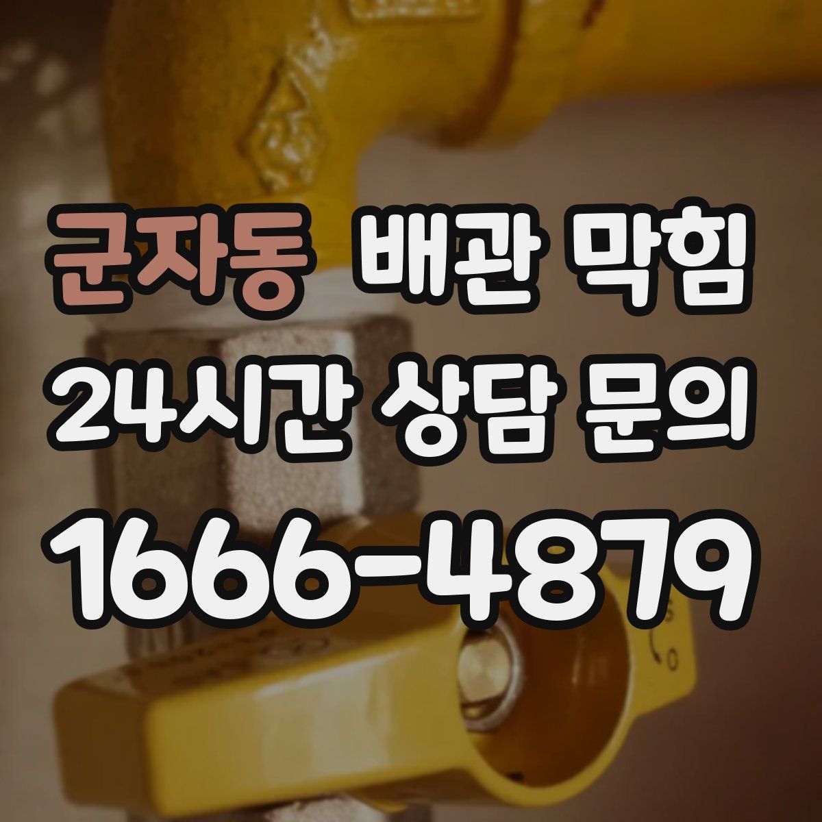 군자동 배관 막힘