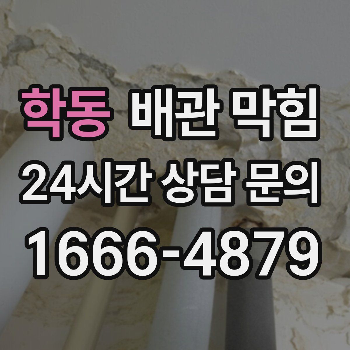 학동 배관 막힘