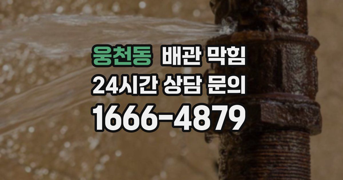 웅천동 배관 막힘