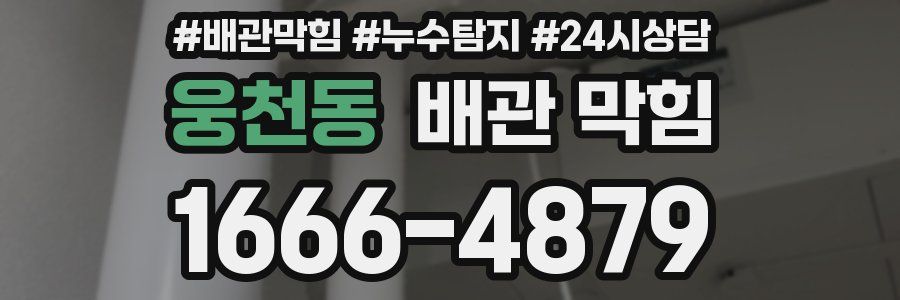 웅천동 배관 막힘