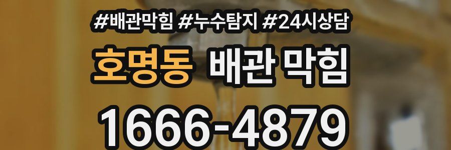 호명동 배관 막힘
