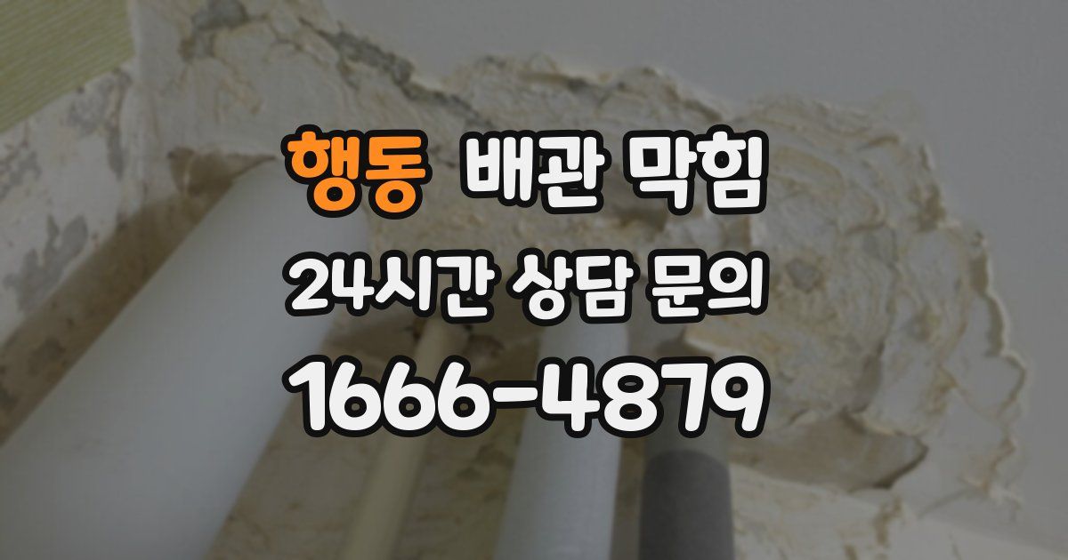 행동 배관 막힘