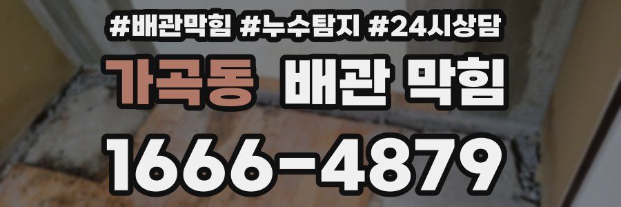 가곡동 배관 막힘