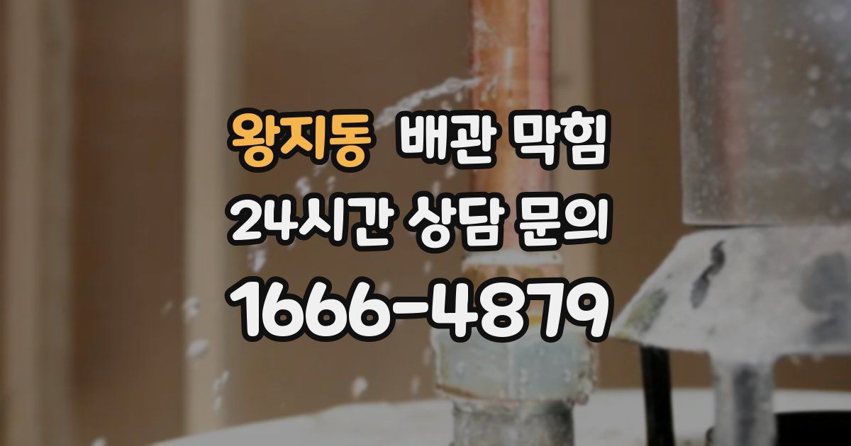 왕지동 배관 막힘
