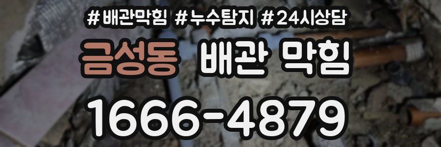 금성동 배관 막힘