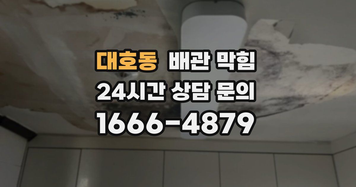 대호동 배관 막힘