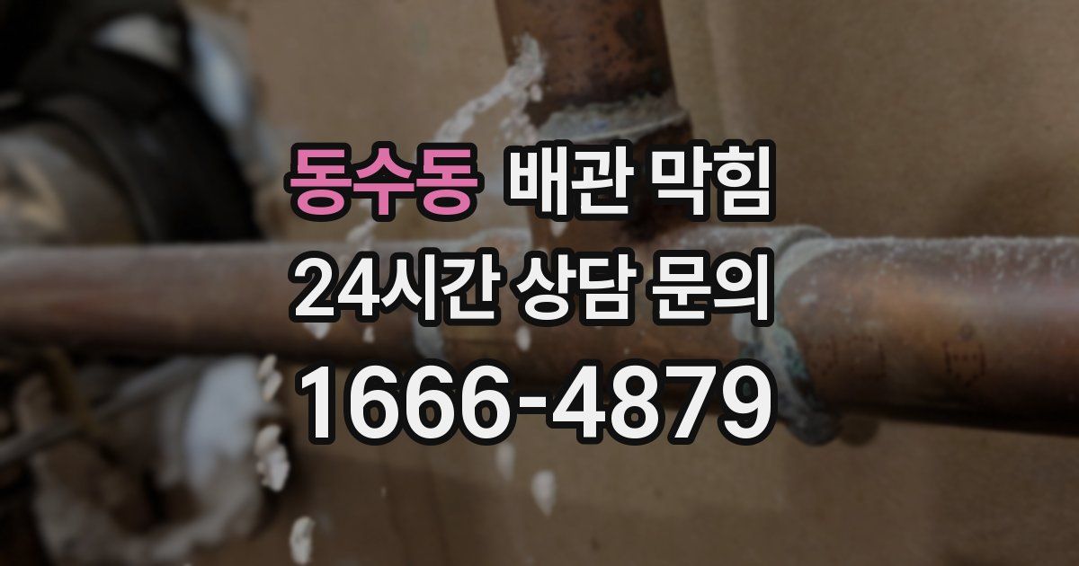 동수동 배관 막힘