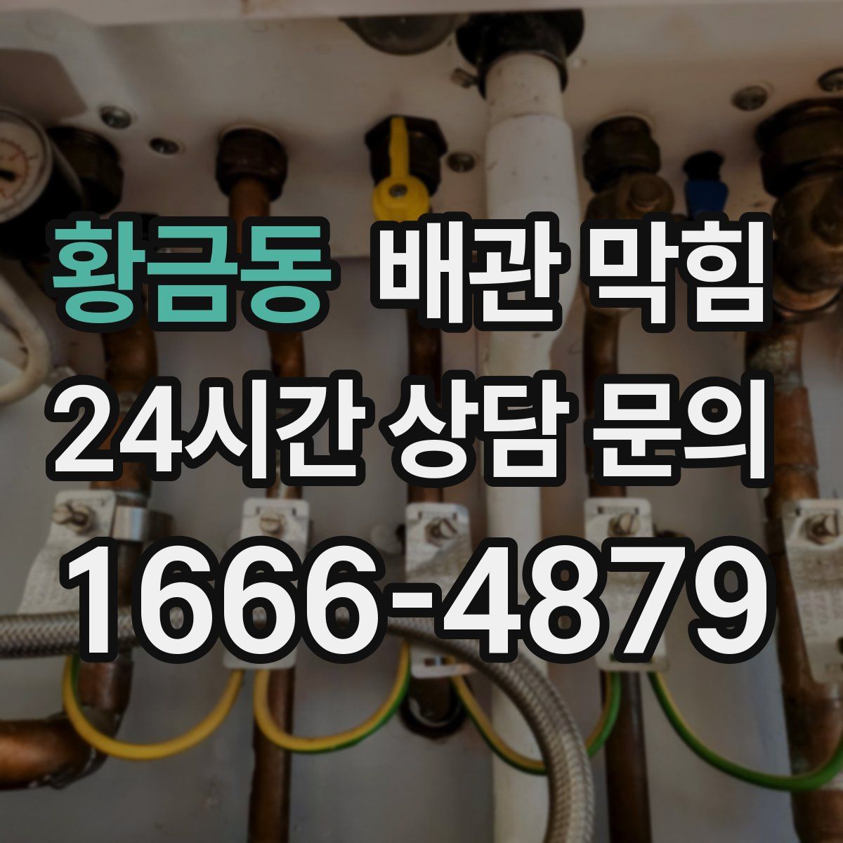 황금동 배관 막힘