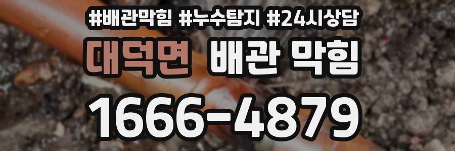 대덕면 배관 막힘