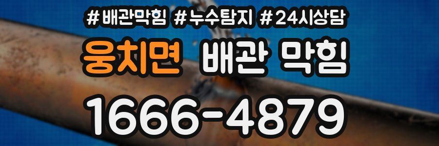 웅치면 배관 막힘