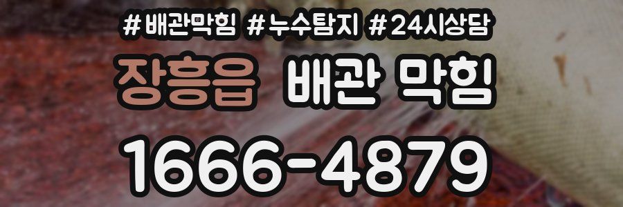 장흥읍 배관 막힘