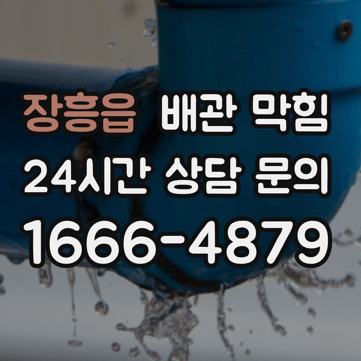 장흥읍 배관 막힘